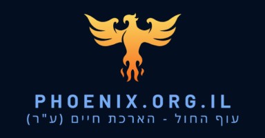 עוף החול